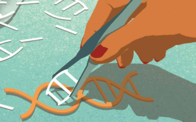 DNA-modificatie tool CRISPR helpt erfelijke ziekten bestrijden