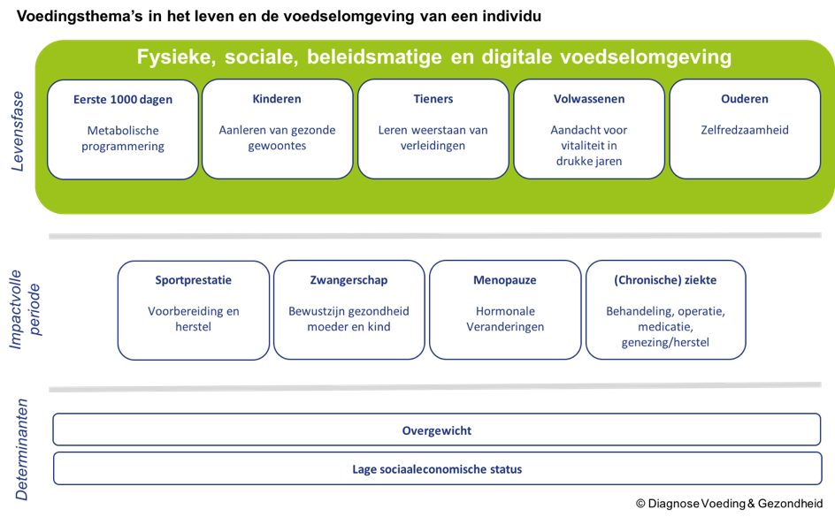 Levensfasen DVG